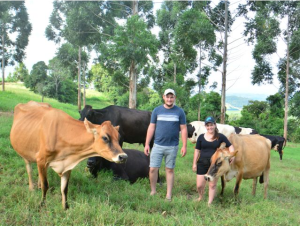 Produção sustentável de leite transforma a vida de famílias rurais catarinenses