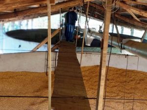 Aplicativo vai monitorar secagem e armazenamento de grãos em SC