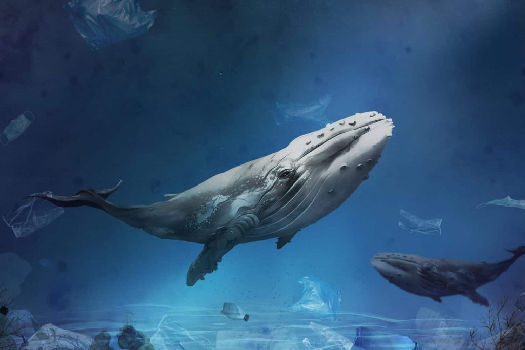 campanha de poluicao do oceano com baleias nadando com sacolas plasticas flutuando 1536x1024 1