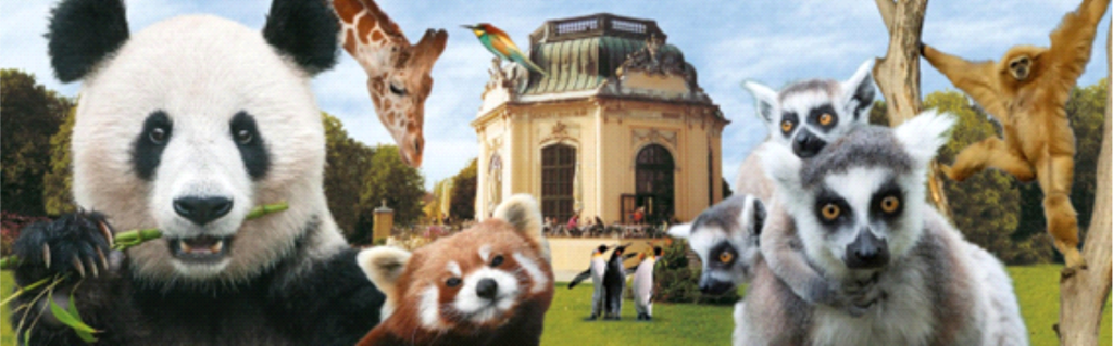 zoologico de Schonbrunn ascenda digital noticias