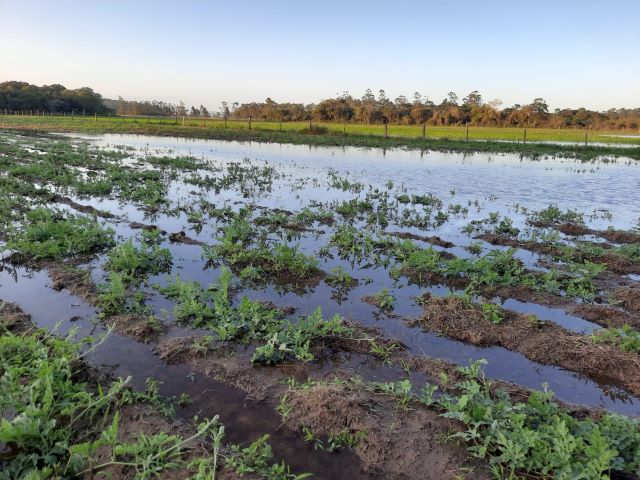 Chuvas de outubro em SC perdas na agricultura ultrapassam R$1,6 bilhão ascenda digital