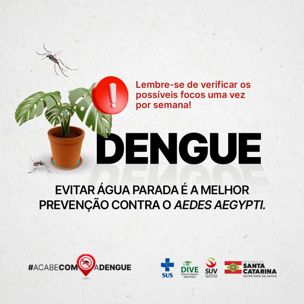 dengue finados 2023