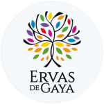 avatar ervas de gaa ascenda digital noticias