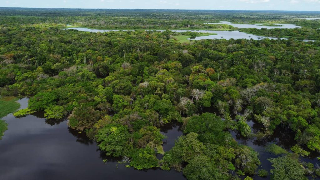 floresta amazonica
