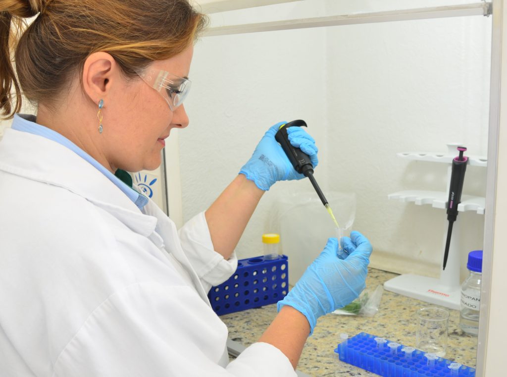 A Empresa de Pesquisa Agropecuária e Extensão Rural de Santa Catarina (Epagri) está selecionando 90 bolsistas para atuarem em suas unidades de pesquisa e inovação