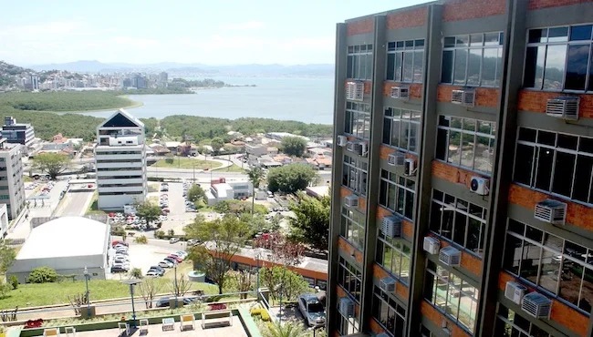 Incubadas do Celta crescem 30% no faturamento em 2023