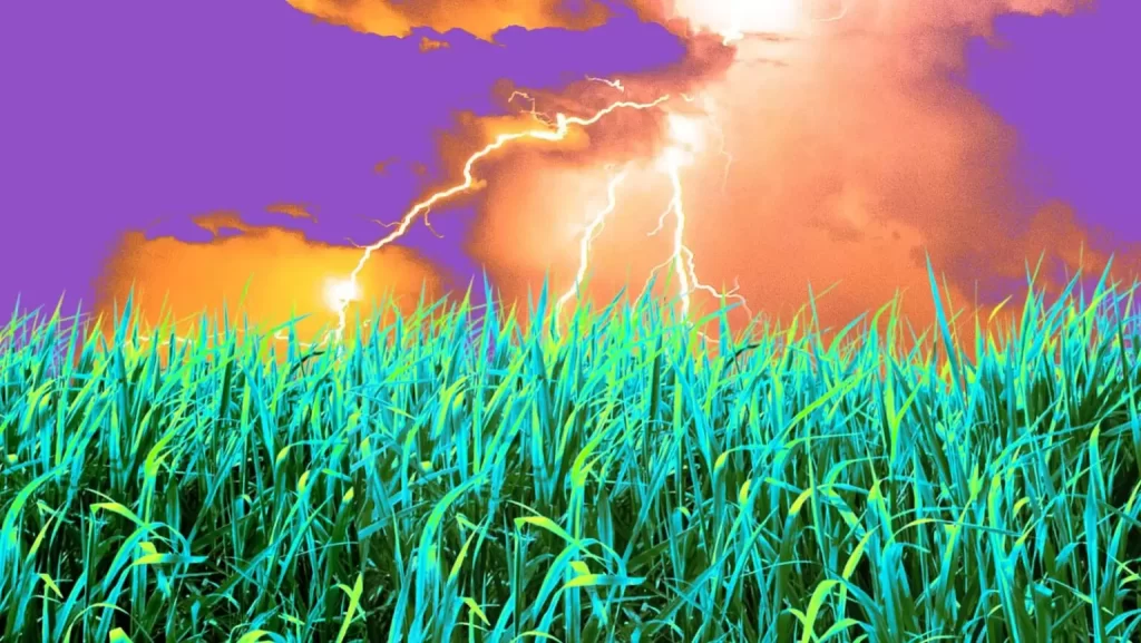 startup plantas eletricidade 1536x865 1