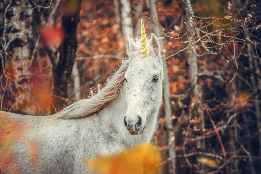 unicornio 1536x1024 1