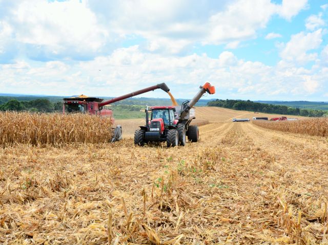 observatorio agro catarinense 1