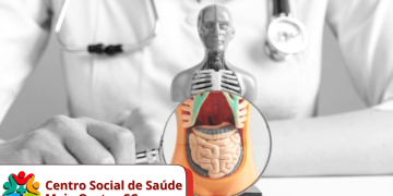 css GASTRO