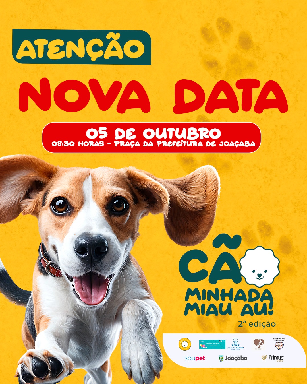 caominhada