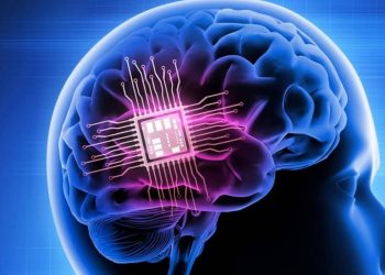 chip cerebral 1 1920x1080 1