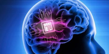 chip cerebral 1 1920x1080 1
