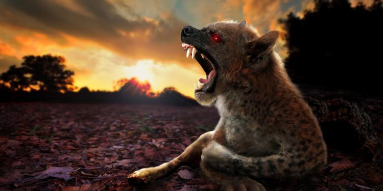 Chupacabra 1920x1080 1