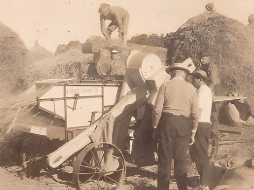 cooperativismo historia aury bodanese filme antes do nascer do sol ascenda digital noticias