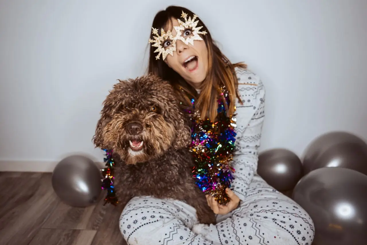 Notícias - Ascenda Digital 69 pets