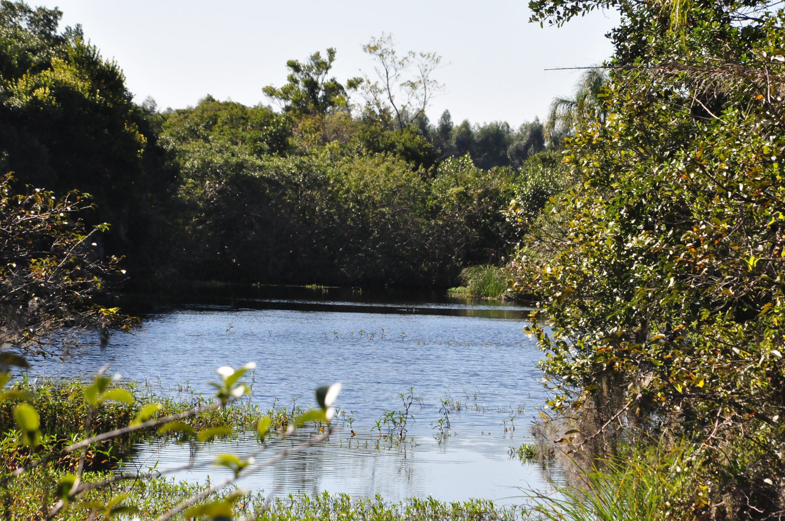 Notícias - Ascenda Digital 69 riodopeixe scaled