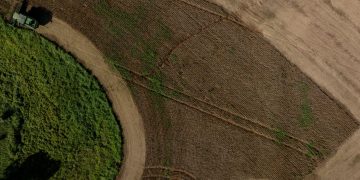 Valor de Produção Agropecuária catarinense cresce 15% e atinge R$ 74,9 bilhões em 2025 2 agrosc