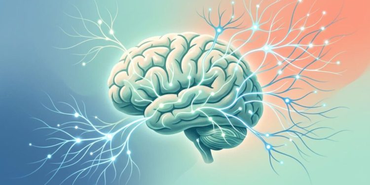 De quais nutrientes o cérebro precisa para se recuperar do estresse e em quais alimentos eles são encontrados? 1 cerebro