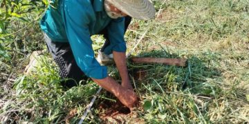 Epagri abre inscrições gratuitas para Seminário Regional sobre sistema de plantio direto 3 epagri26