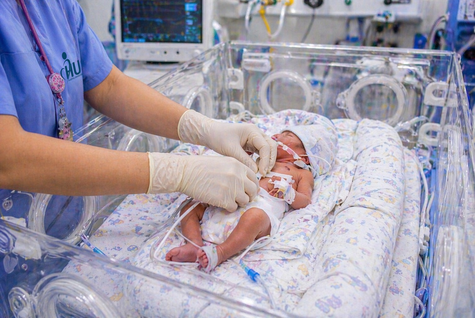 Notícias - Ascenda Digital 70 hust