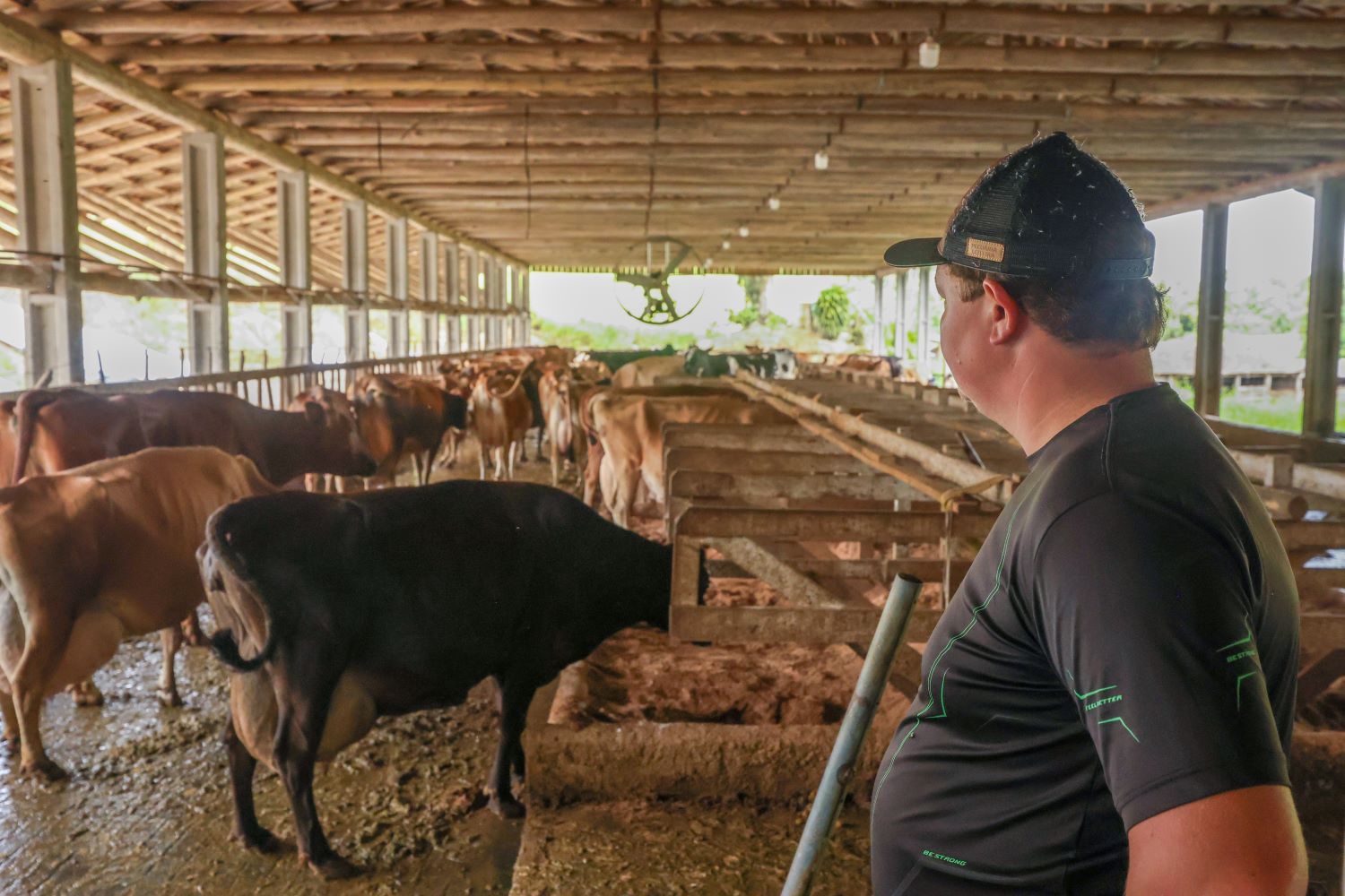 Notícias - Ascenda Digital 65 pronampe