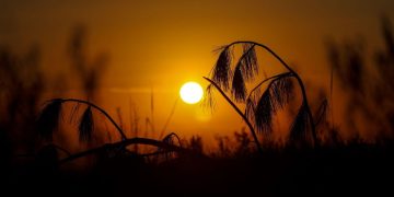 Santa Catarina tem semana de sol antes da chegada de frente fria e virada no tempo 3 tempo2204