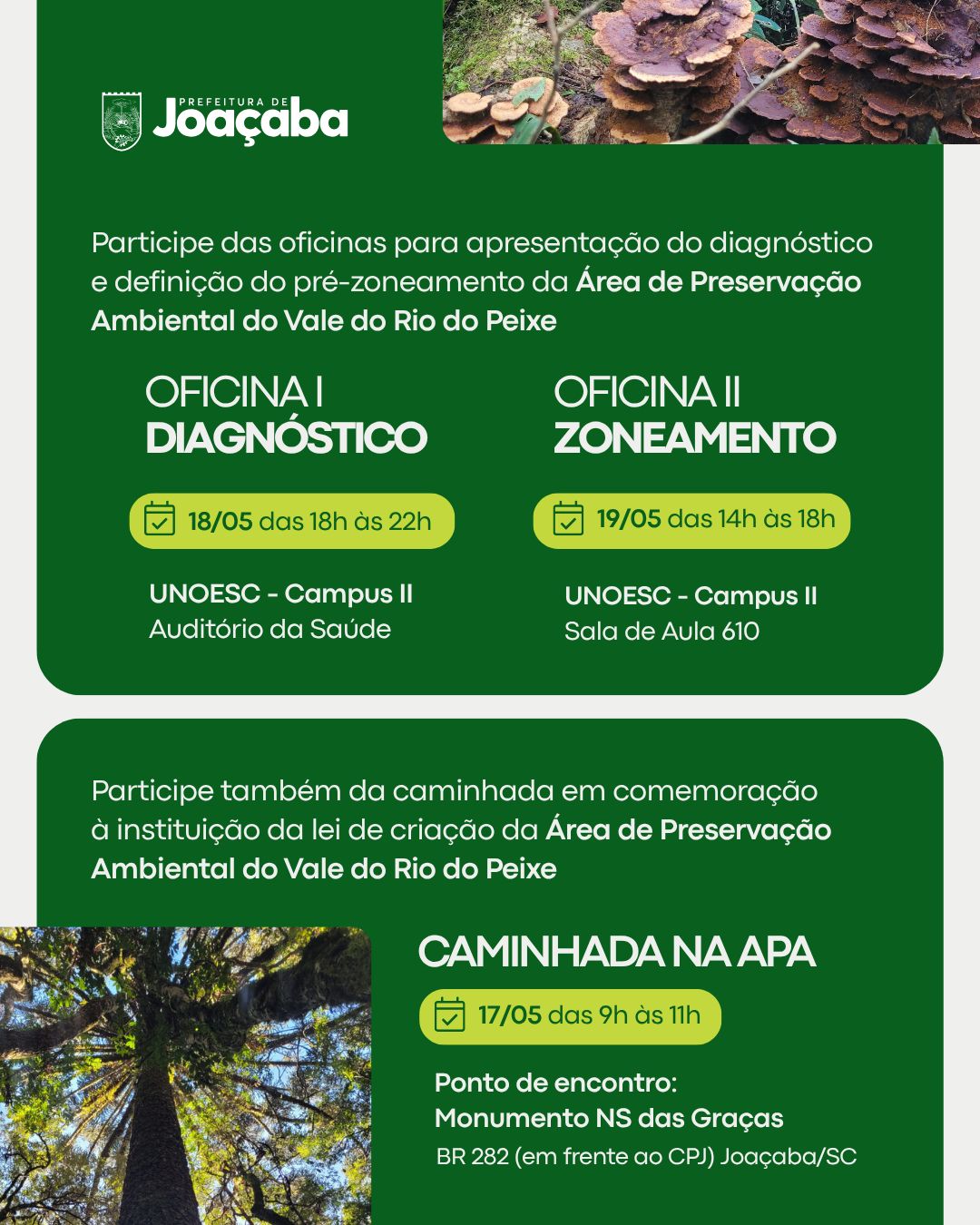 Notícias - Ascenda Digital 70