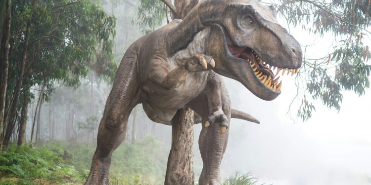 Pensávamos que eram maduros, mas na verdade eram adolescentes: tiranossauro rex precisaria de 40 anos para atingir a idade adulta, segundo pesquisadores 1 trex